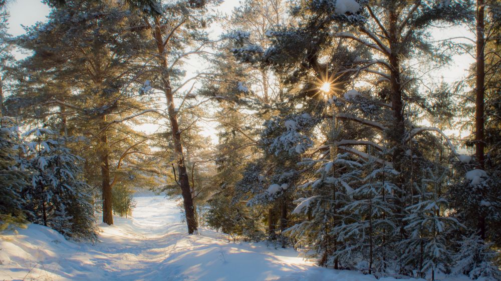 Photograph by Николай Путинцев