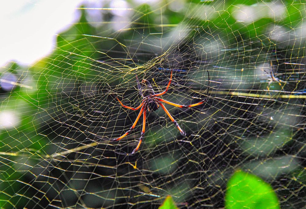 Photograph by Михаил Баевский