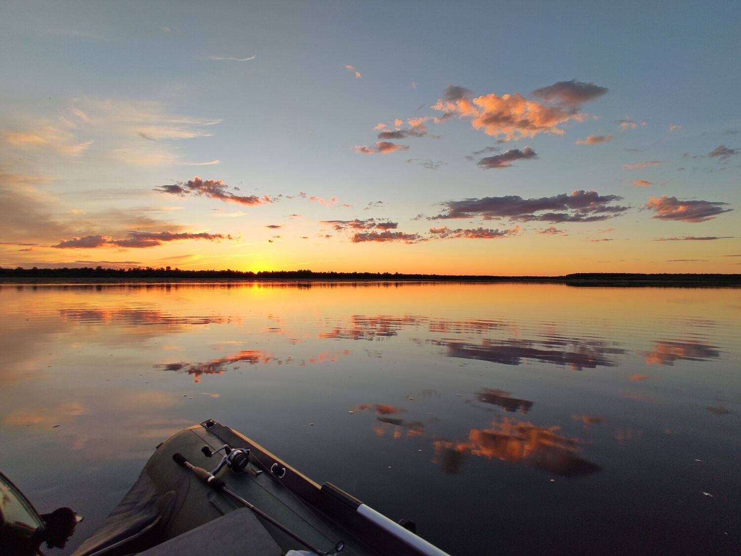 Photo #7168343