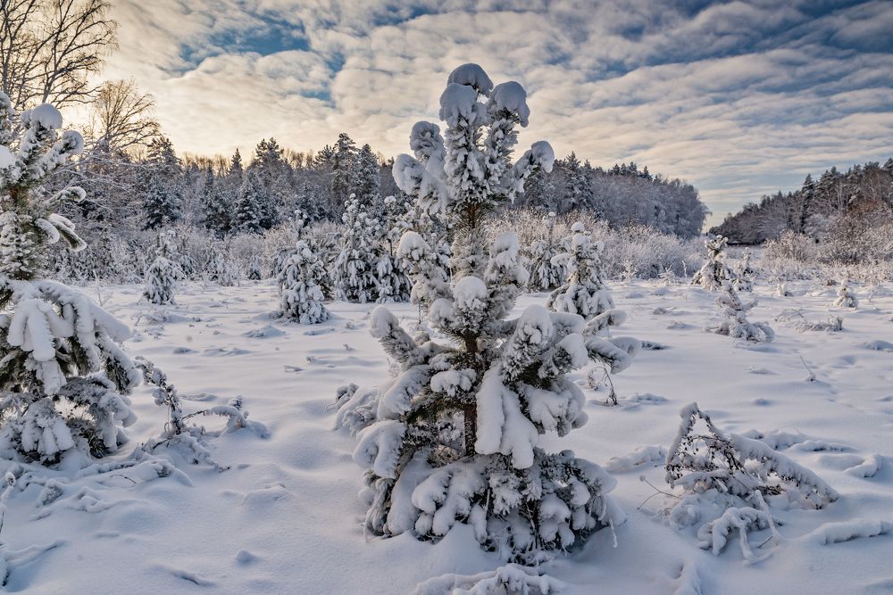 Photograph by Кирилл Аксенов