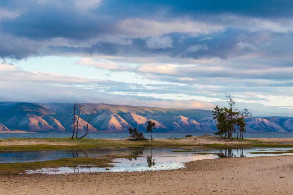 Фотография автора Оркина Ксения