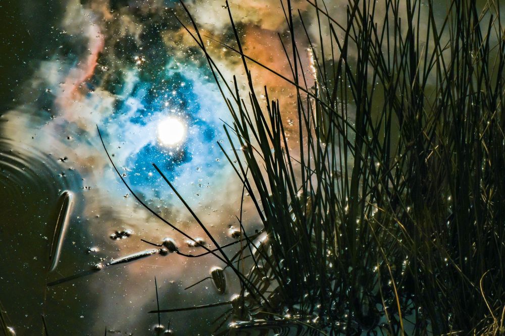 Photograph by Teresa MoliNaro