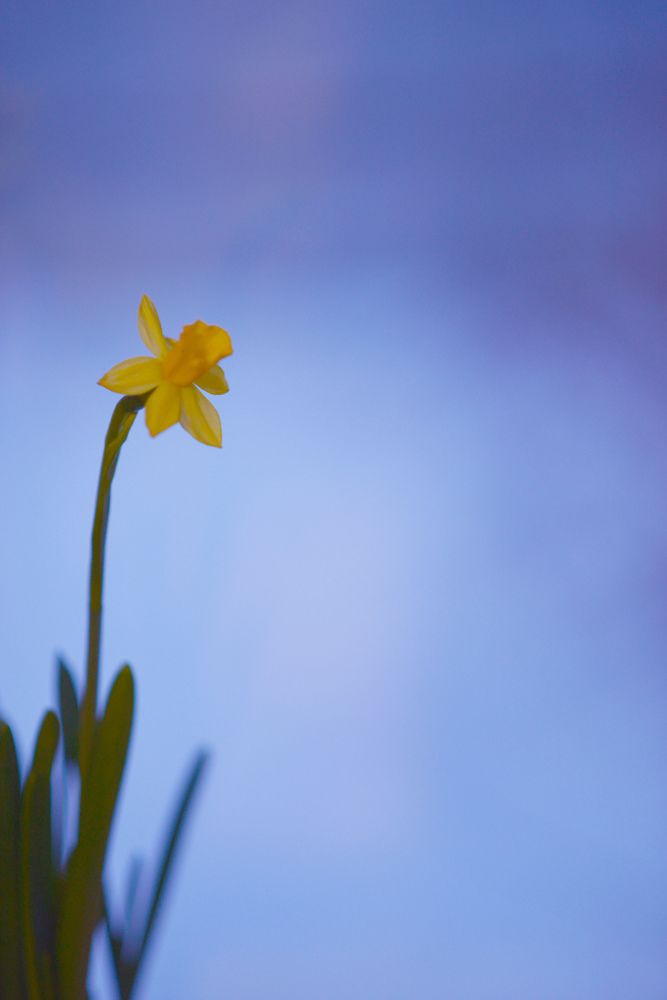 Photograph by Олеся Парфенова