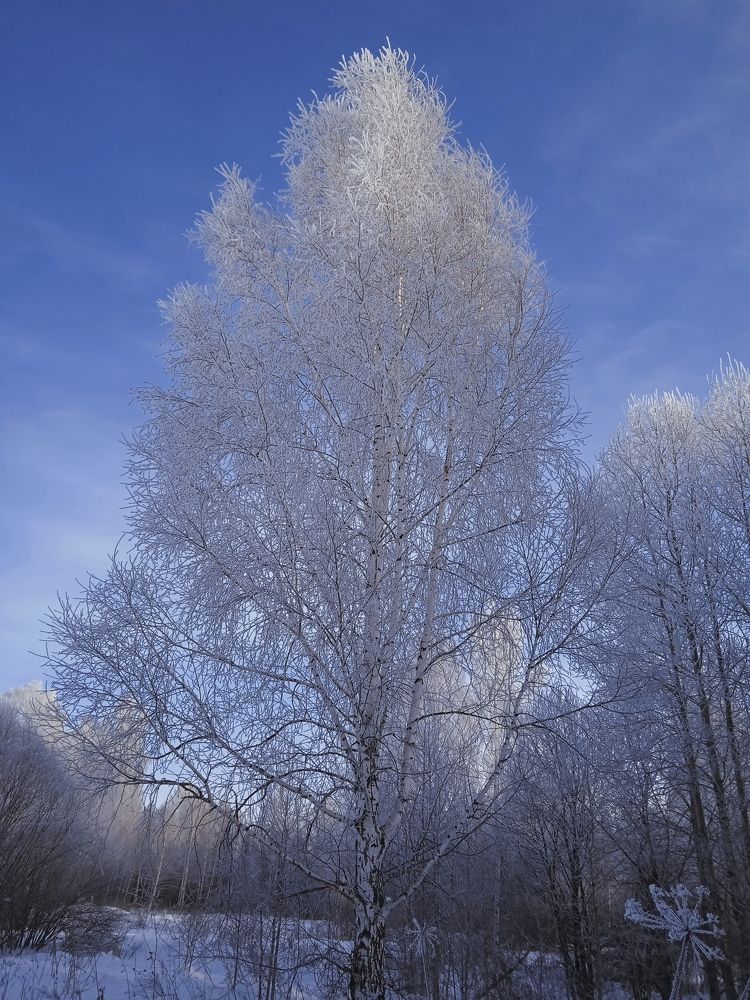 Photo #7168503