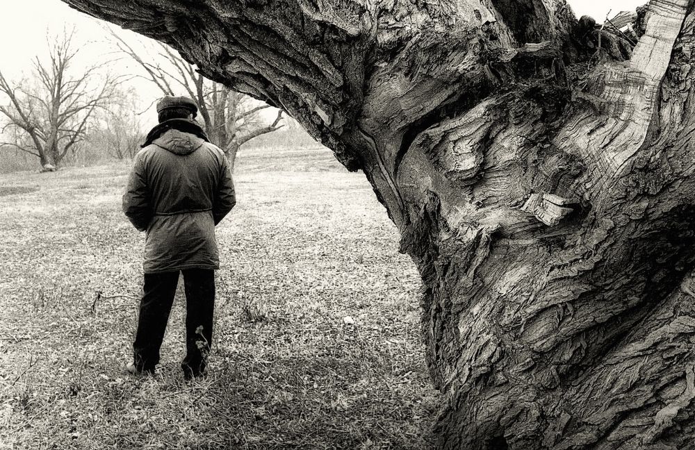 Photograph by Александр Халимов