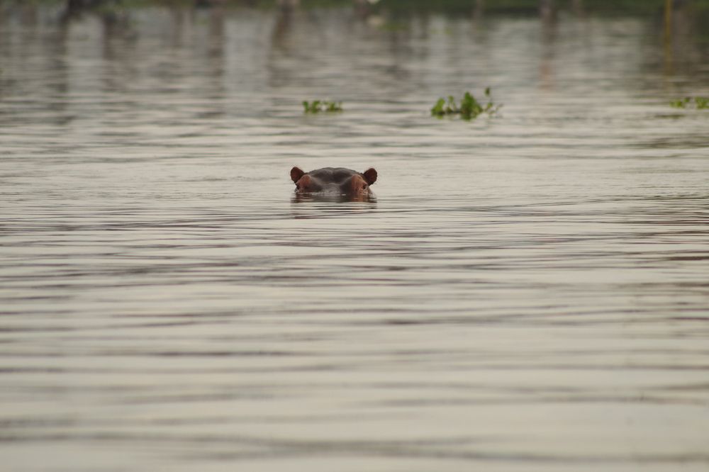 Фотография автора Cláudia Maria Fialho Garcia
