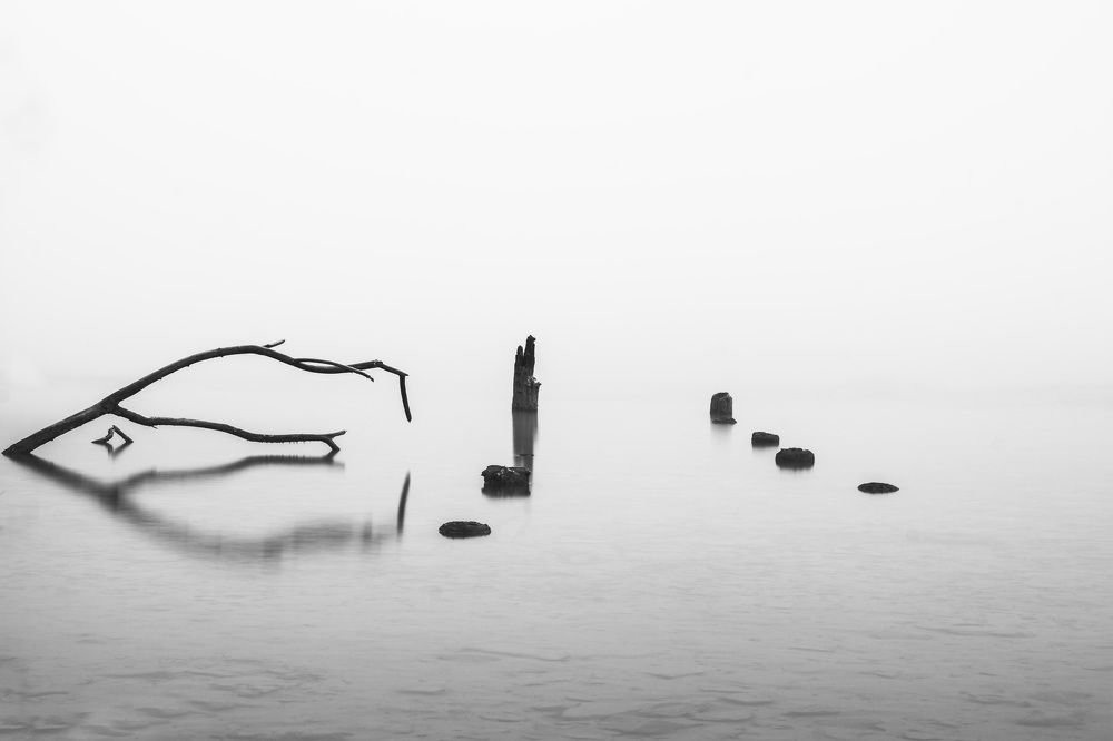 Photograph by Dani Wieczorek