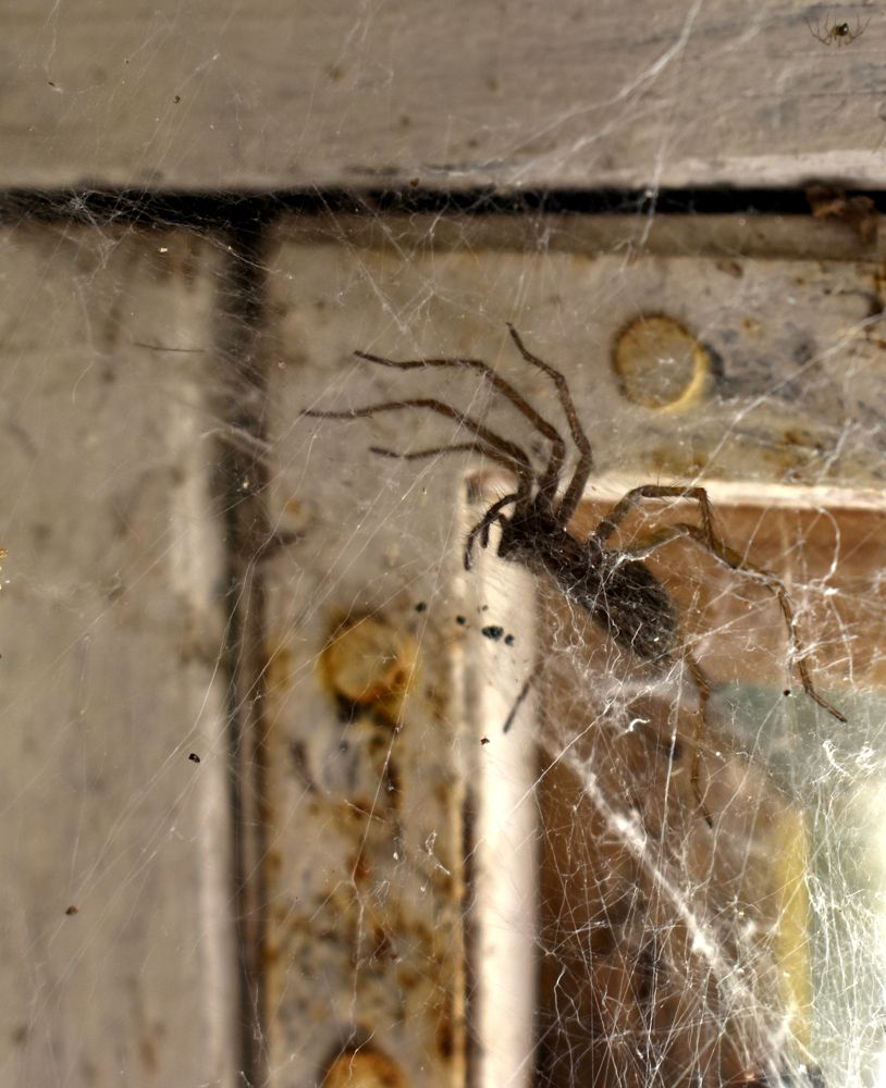 Photograph by Владимир Воложинский