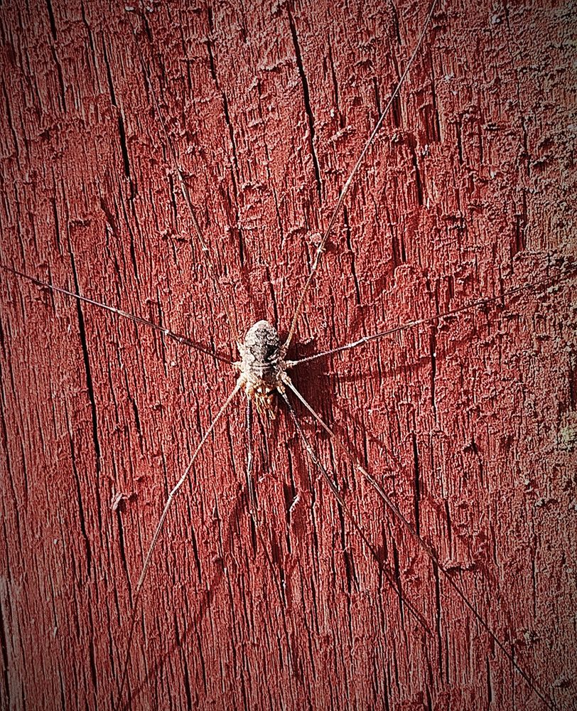 Photograph by Владимир Воложинский