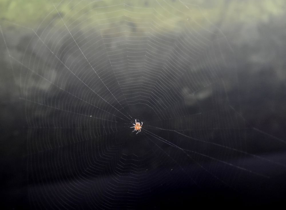 Photograph by Владимир Воложинский