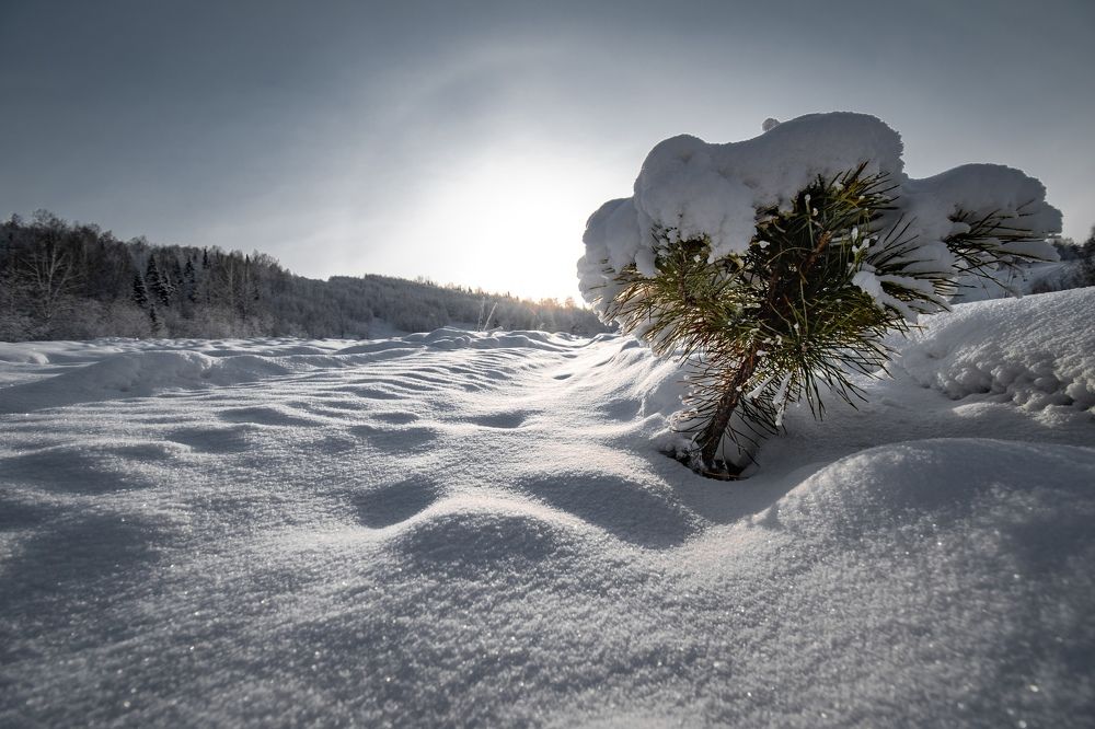 Photograph by Артем Штылев