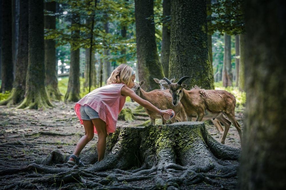 Photograph by Dani Wieczorek