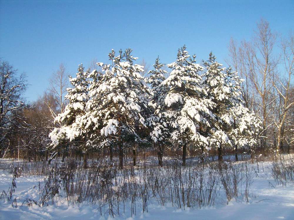 Photograph by Хвостов владимир Владимирович