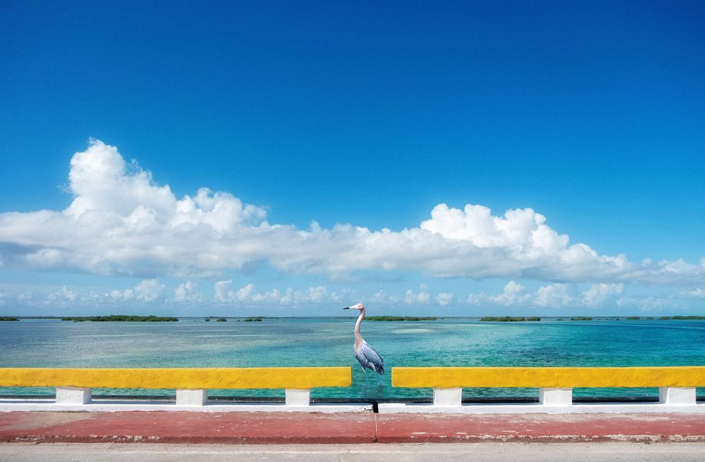 Photograph by Михаил Серебренников