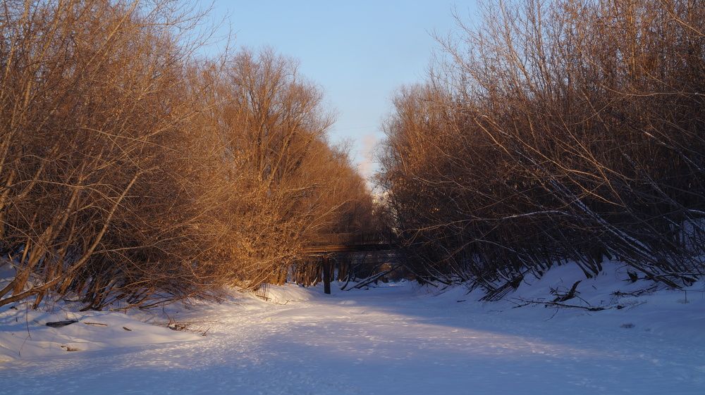 Photograph by Алексей Тропин