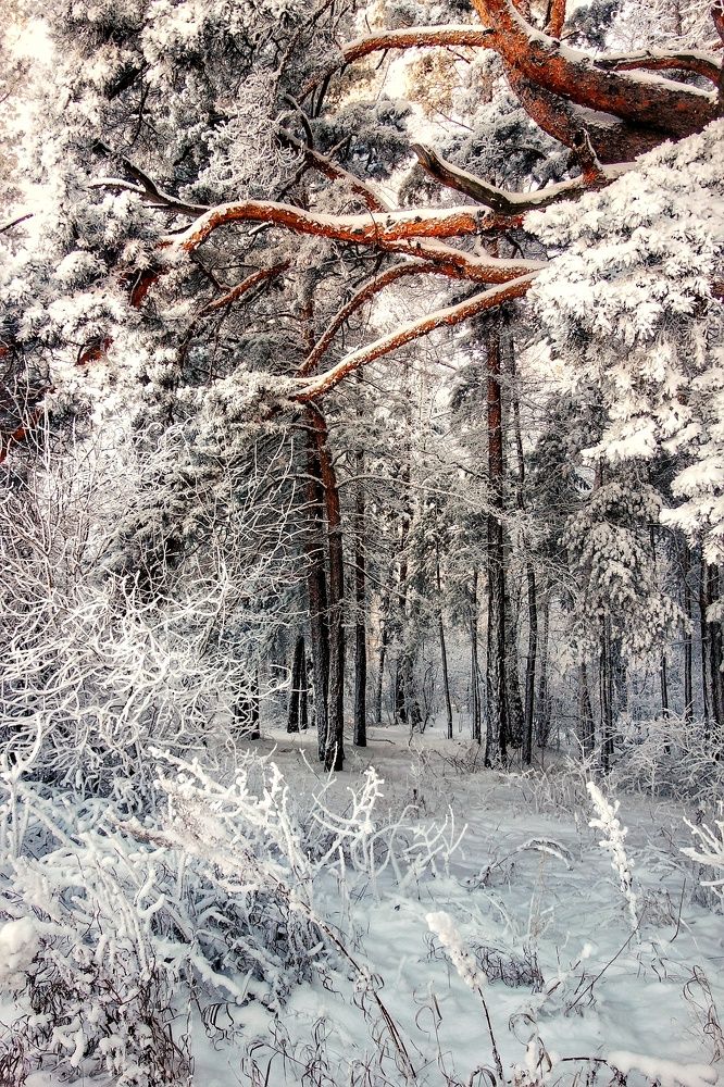 Фотография автора Марина