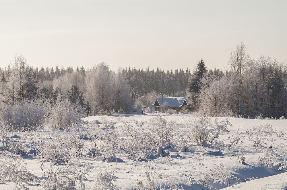 Вот моя деревня...