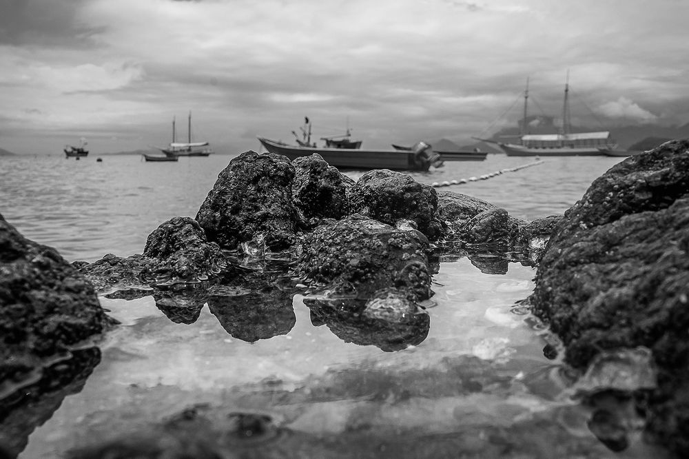 Photograph by Joao R Cortez