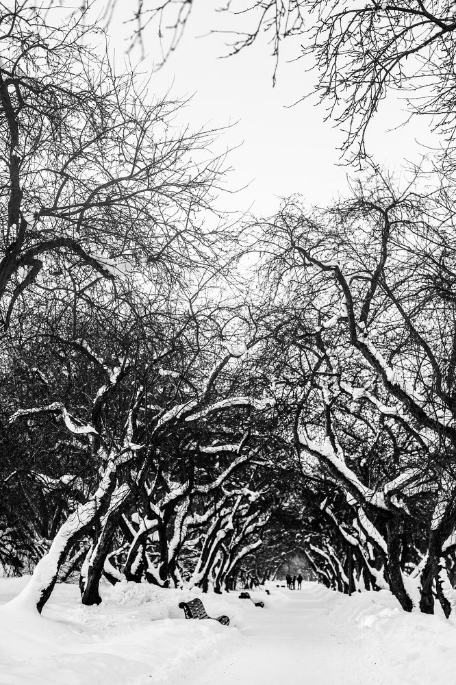 Photograph by Антон Ляпунов