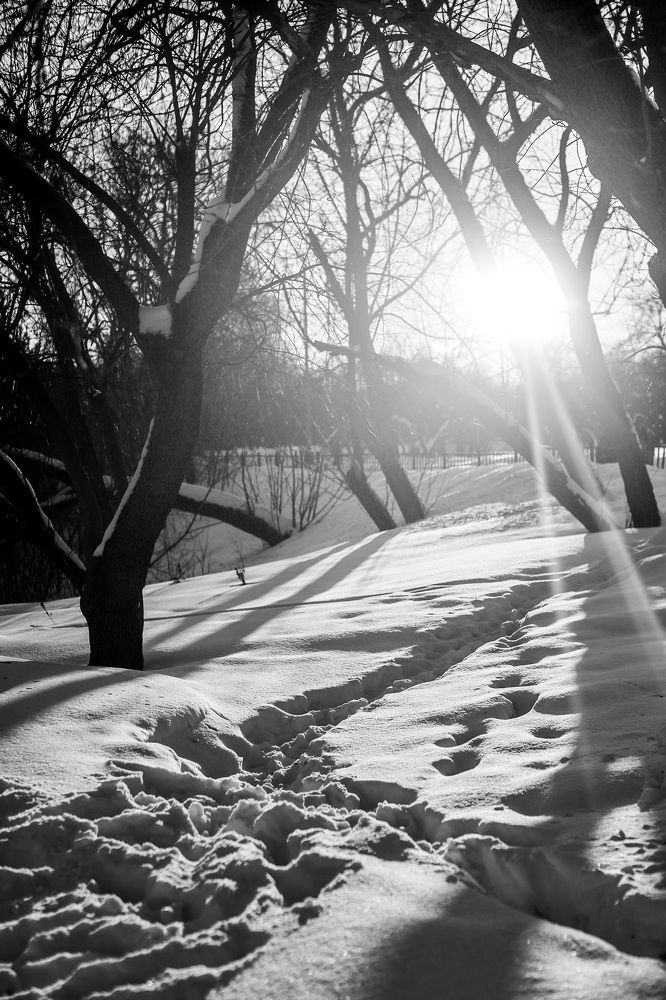 Photograph by Антон Ляпунов