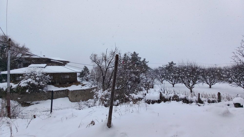 Photo #7168689