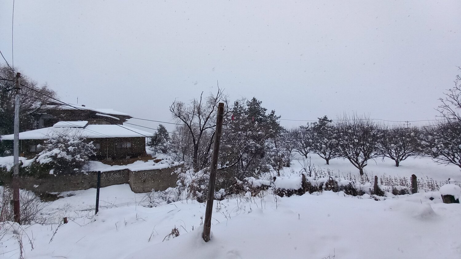 Photo #7168689