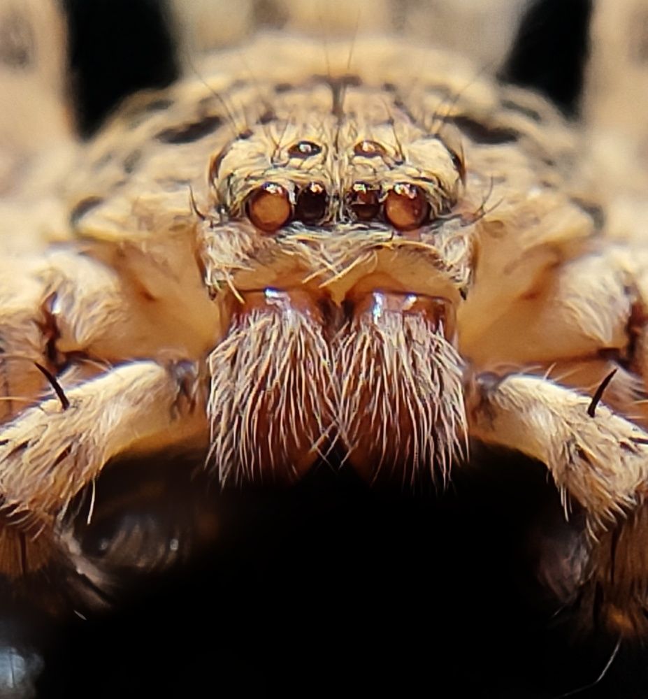 Photograph by Satishkumar Prakash