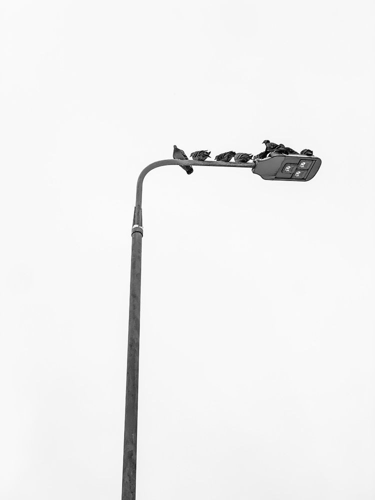 Photograph by Антон Ляпунов