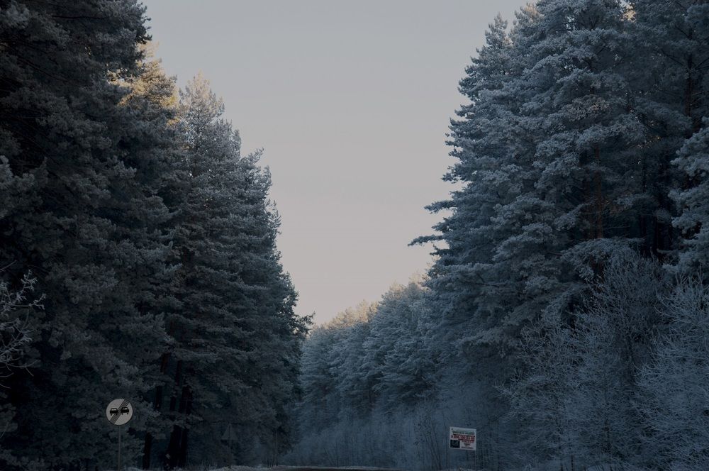 Photograph by Ульяна Алмаева