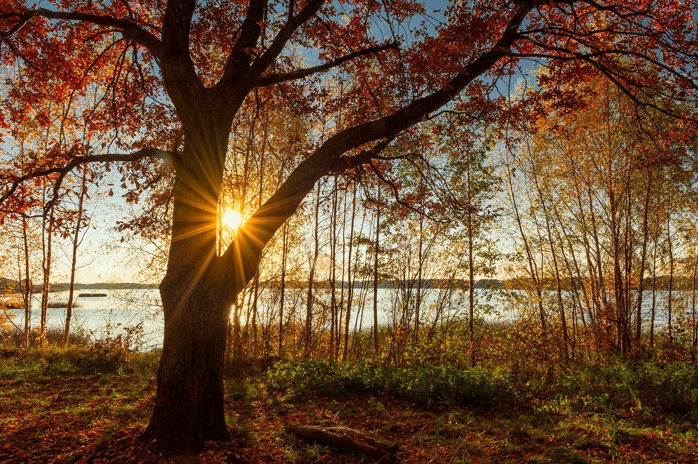 Photograph by Елена Потемина