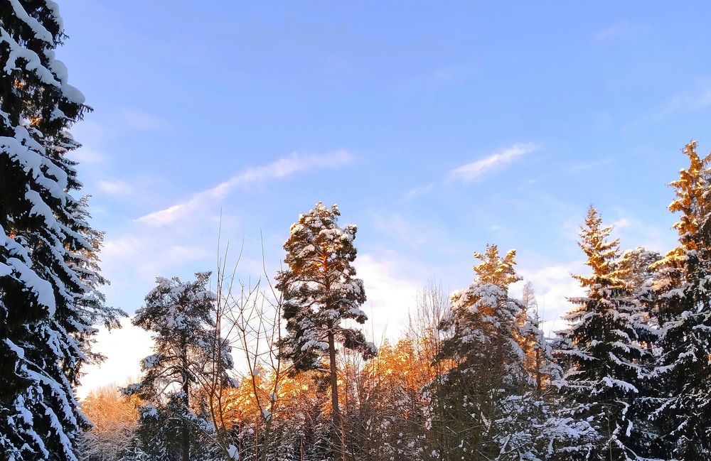 Photograph by Владимир Воложинский