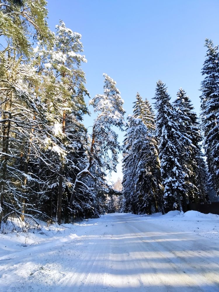 Photograph by Владимир Воложинский