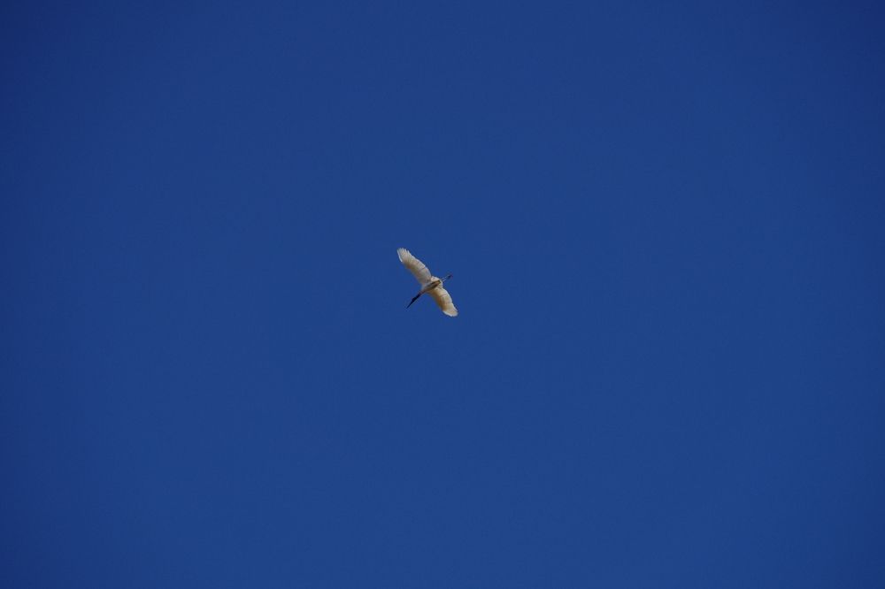 Фотография автора Cláudia Maria Fialho Garcia