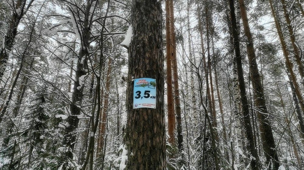 Photograph by Ирина Саттарова