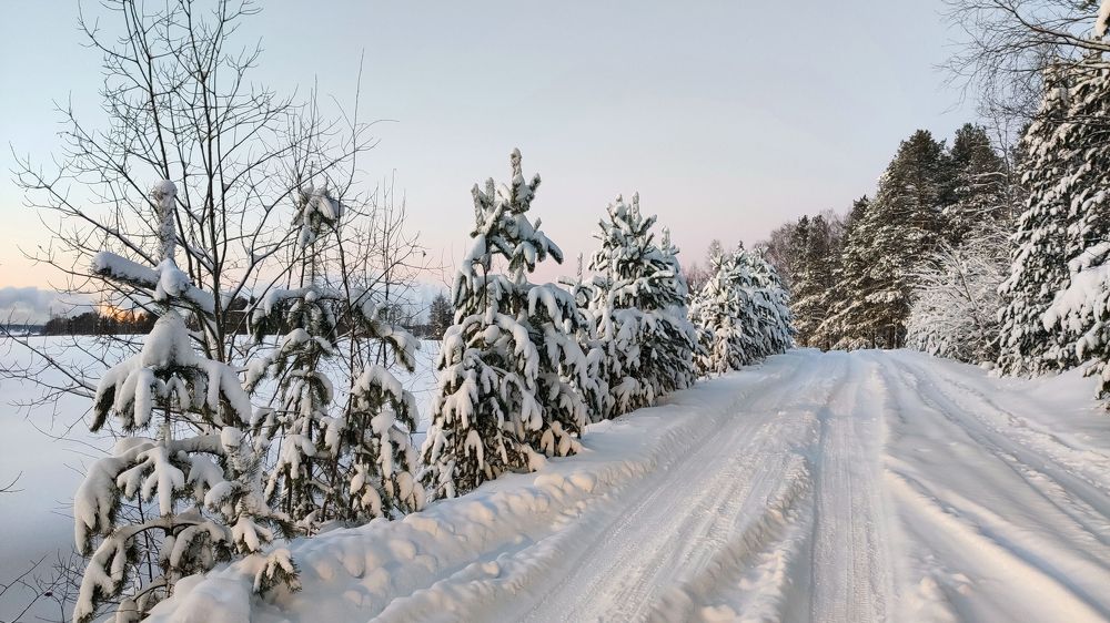 По дороге в снежный лес