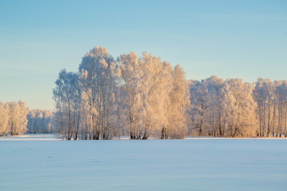 Photograph by Евгения Антропова