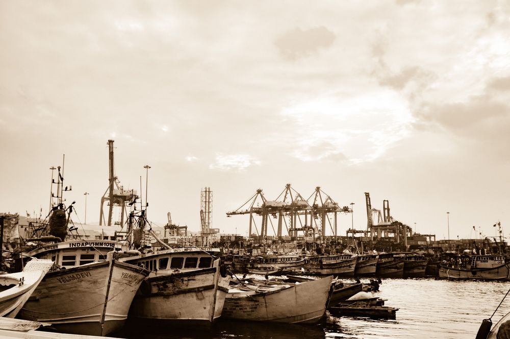 Фотография автора Subhadeep Debnath