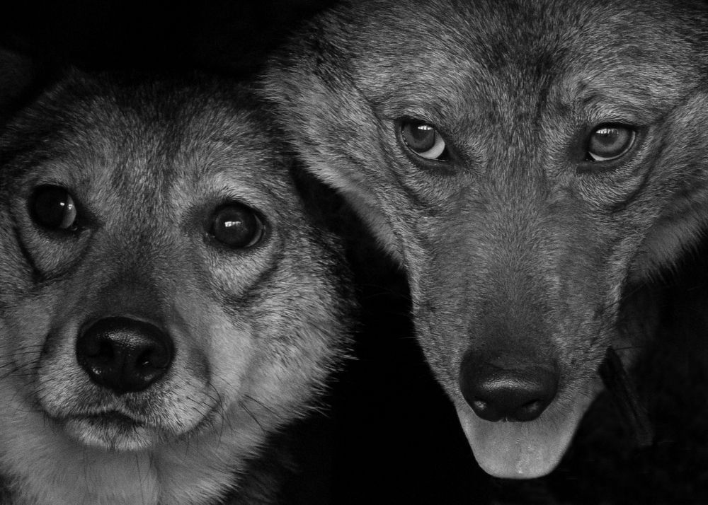 Photograph by Наталья Матухина