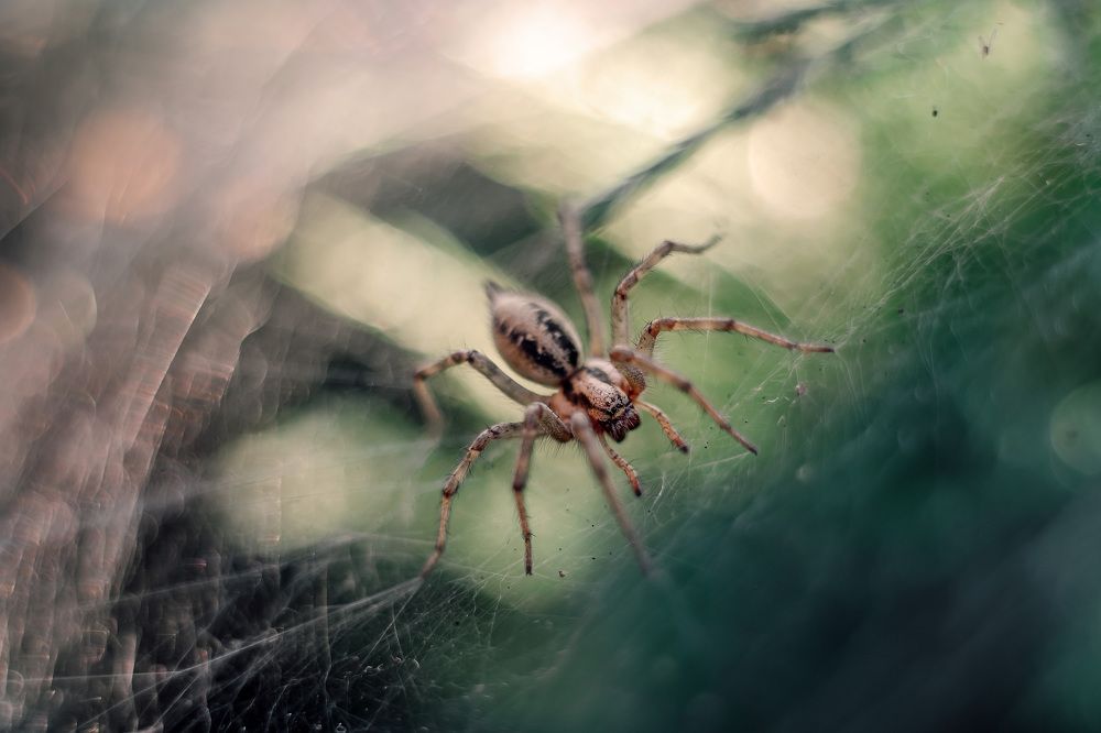 Photograph by Юлия Макаренко