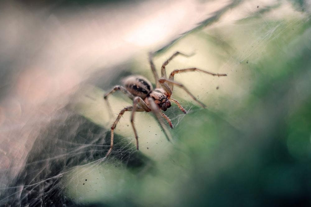 Photograph by Юлия Макаренко