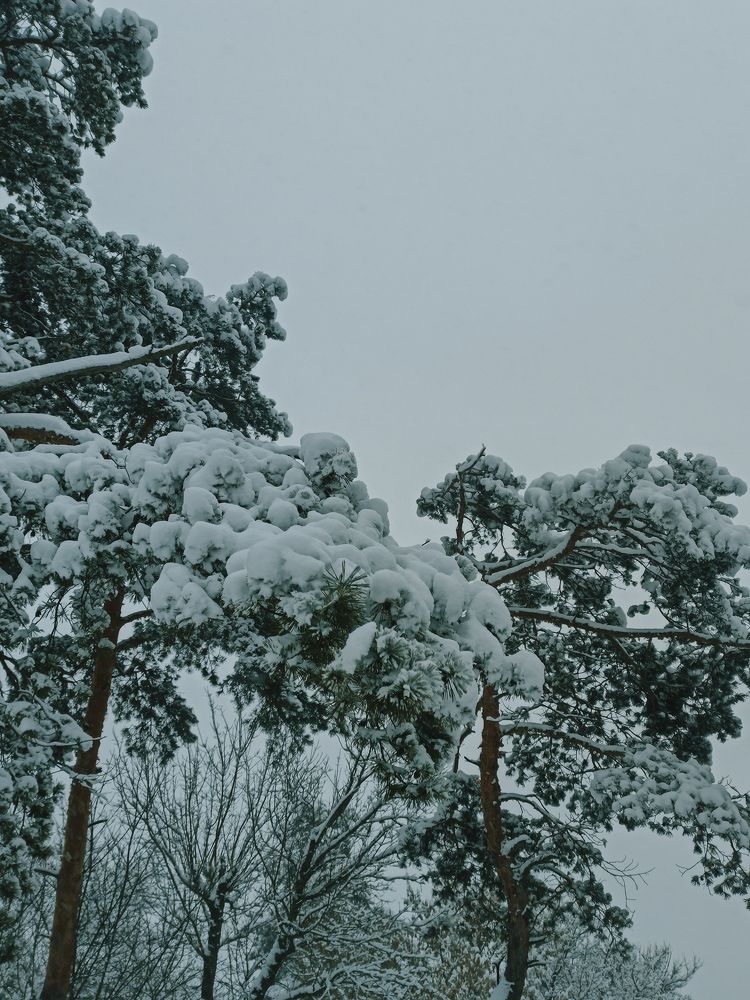 Photograph by Андрей