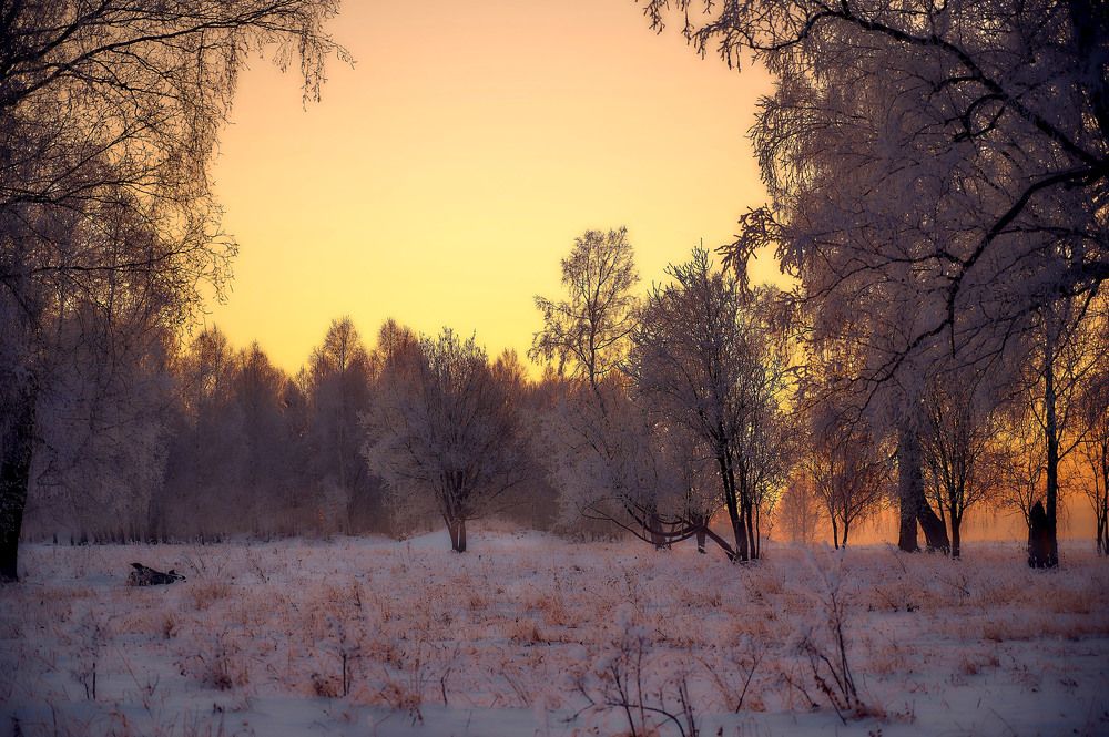 Photograph by Владимир Малевич