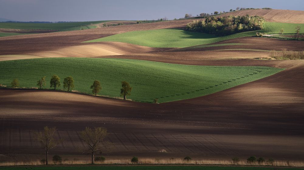 Photograph by Шимаковский Юрий