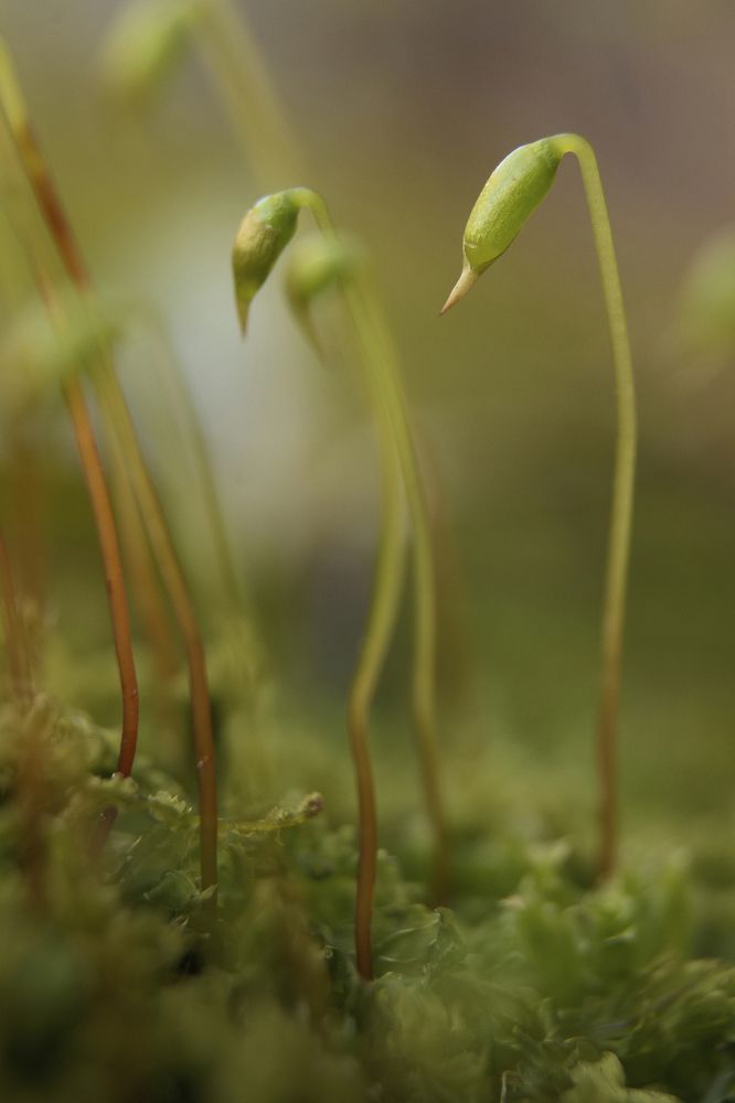 Photograph by Filip Betko