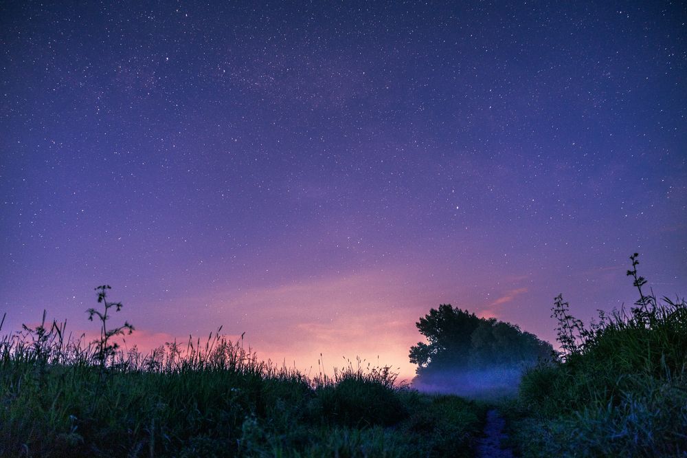 Звёзды на Дону