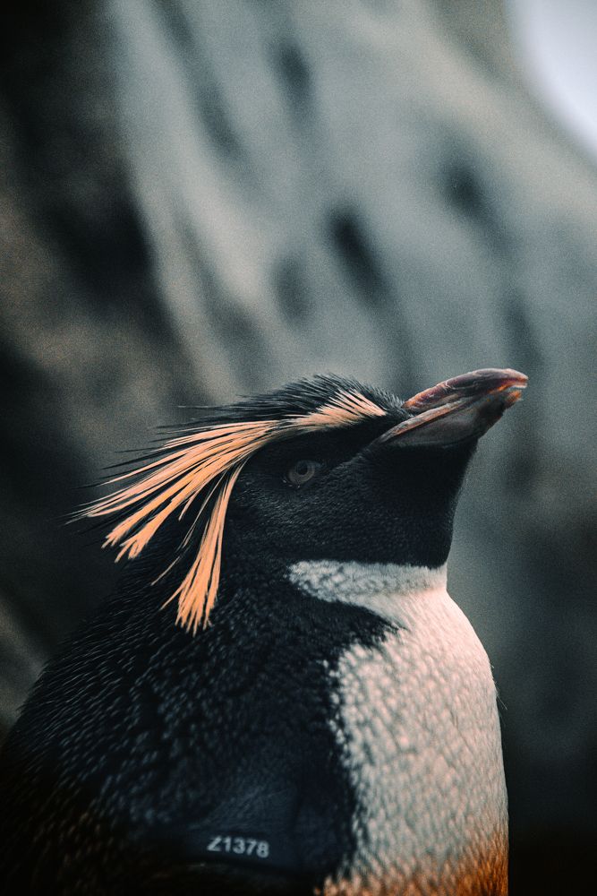 Photograph by Holden Perpelitz