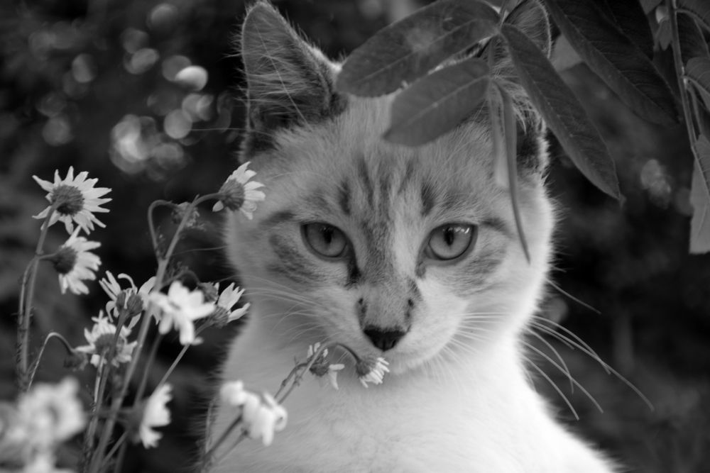 Photograph by Татьяна Дорожко