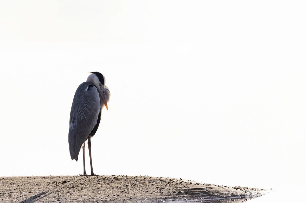 Photograph by Nagarajan P