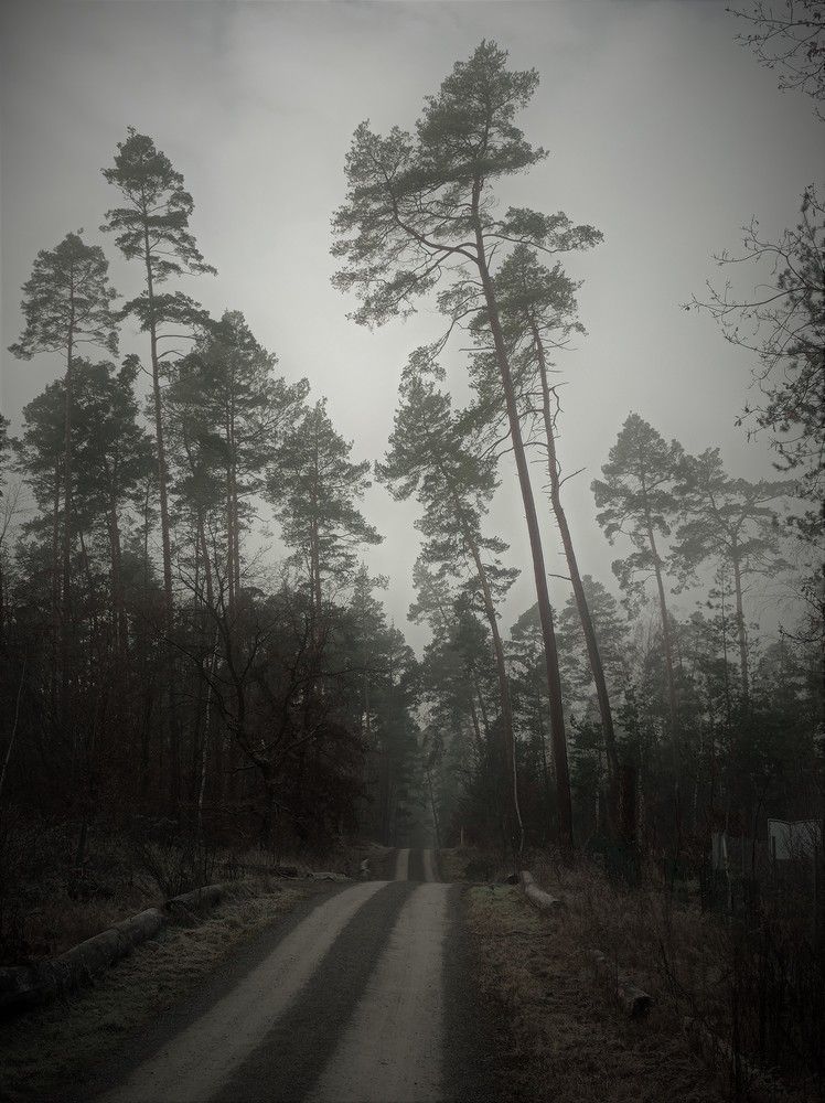 Photograph by Victor Manuel Vaillant Lara