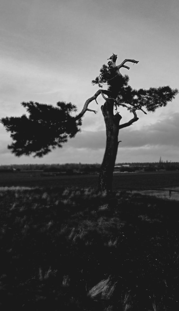 Photograph by Victor Manuel Vaillant Lara